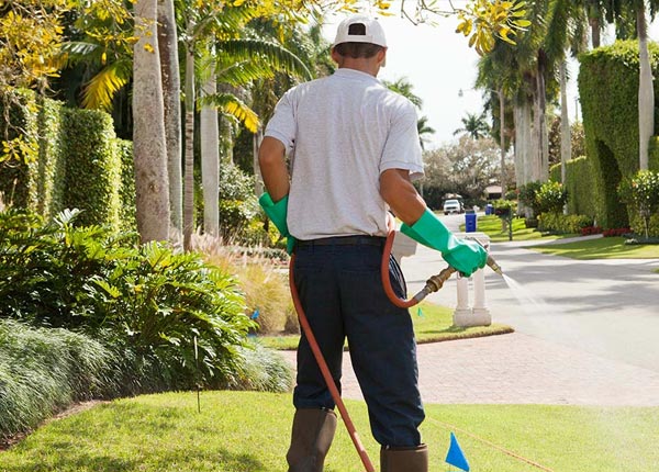 About Mayport PA Pest Control